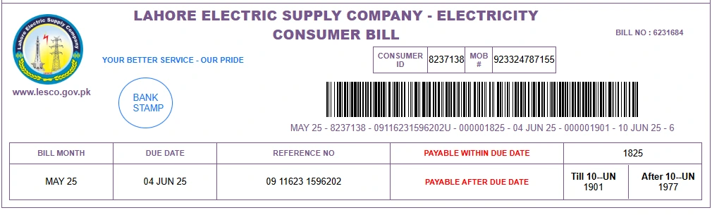 What Does Your LESCO Bill Contain